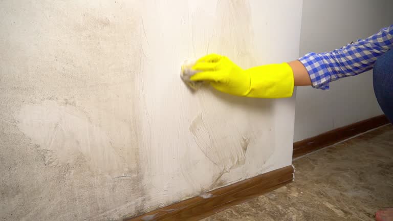 Dehumidification Services in El Paso De Robles, CA